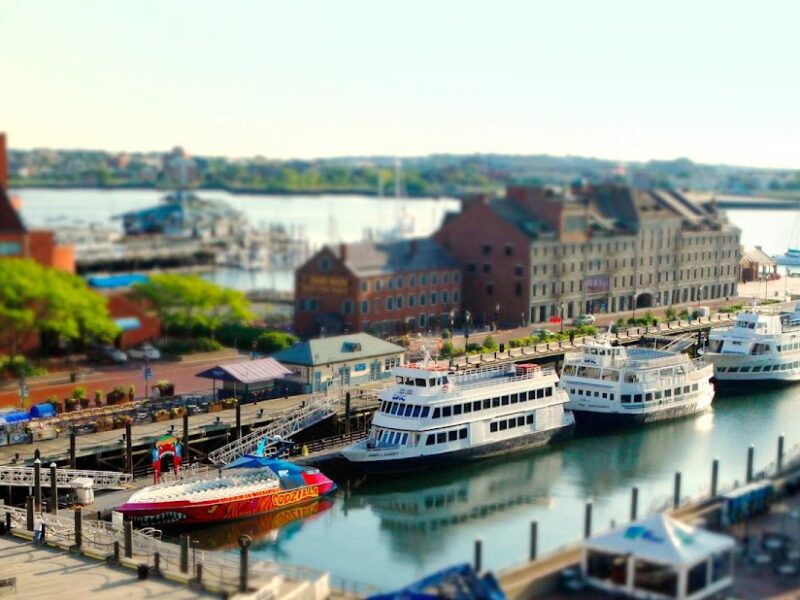 The Boston Harbor Cruises