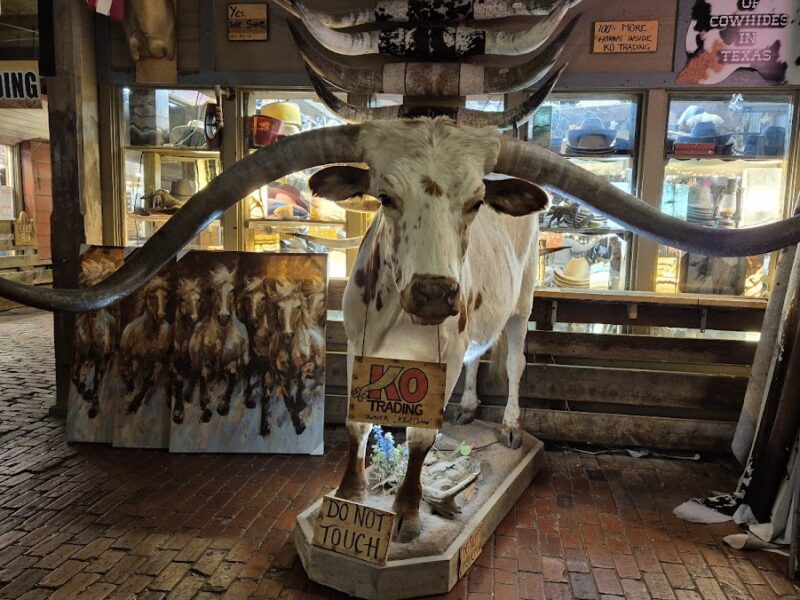 The Stockyards Station