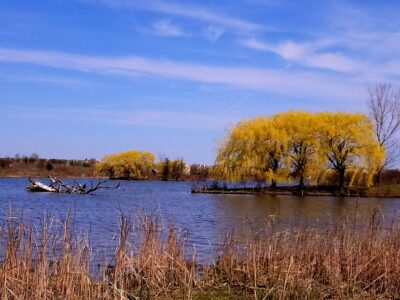 The Lakeview Event Space