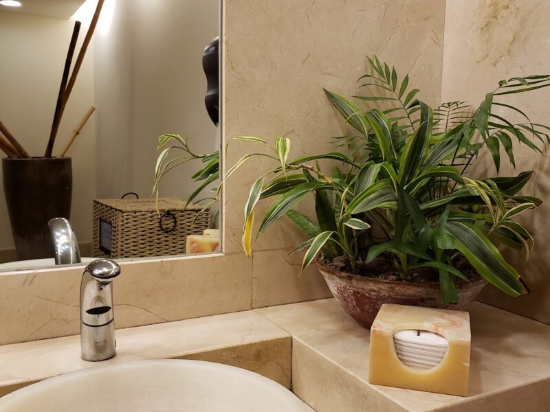 Sheraton Buganvilias Resort & Convention Center