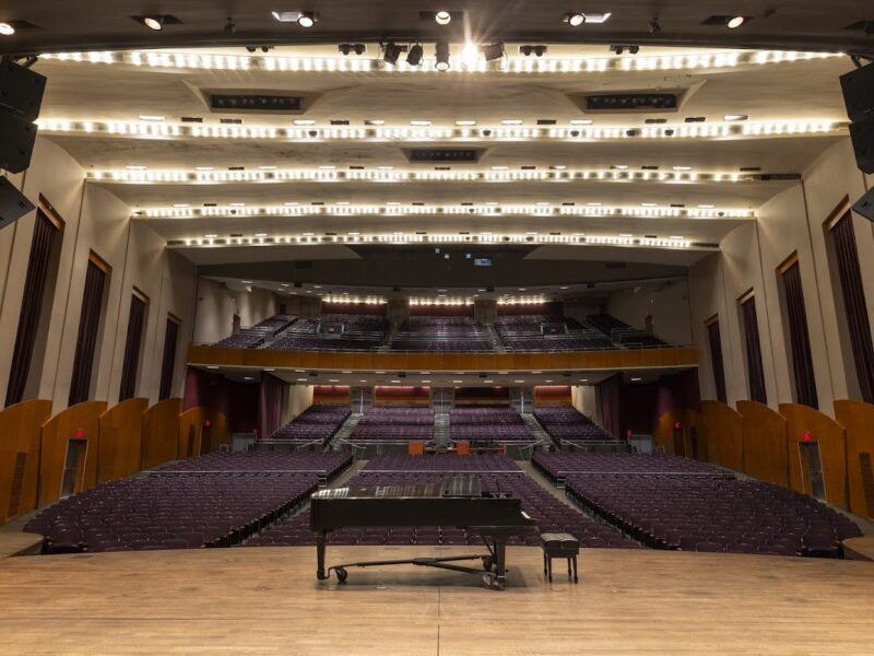 The Brooklyn Arts Center