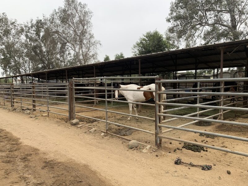 Norco Equestrian Center