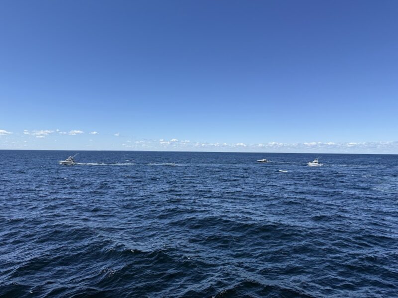 The Boston Harbor Cruises