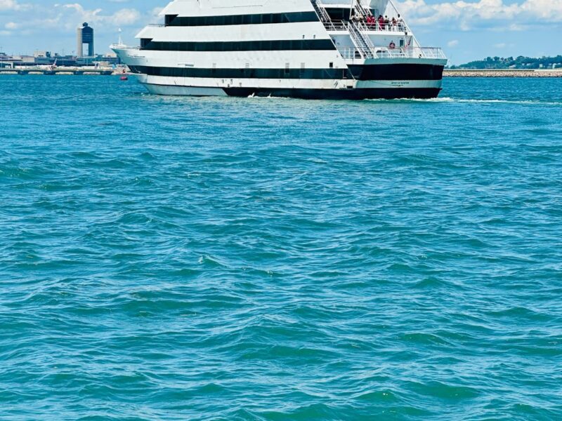 The Boston Harbor Cruises