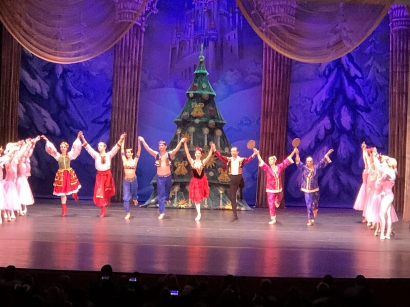 The Brooklyn Arts Center