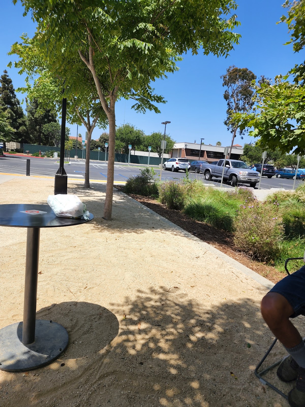 The Costa Mesa Community Center