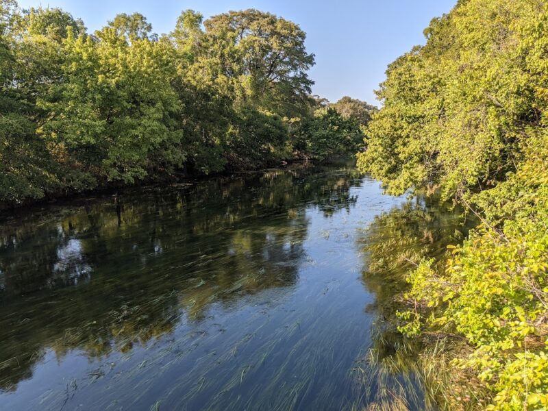The San Marcos Pavilion