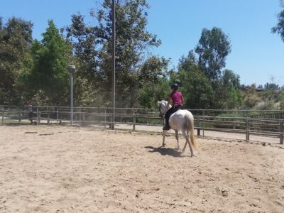 Norco Outdoor Pavilion