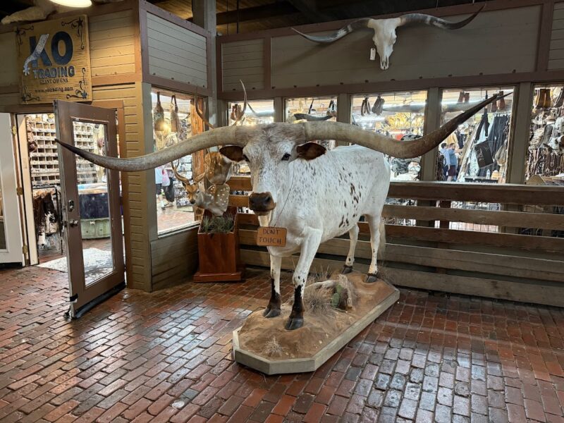 The Stockyards Station