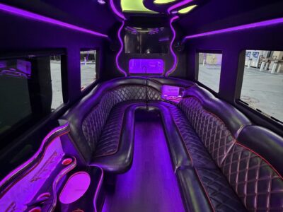 Los Angeles Party Bus Rentals | LA Nights Party Bus