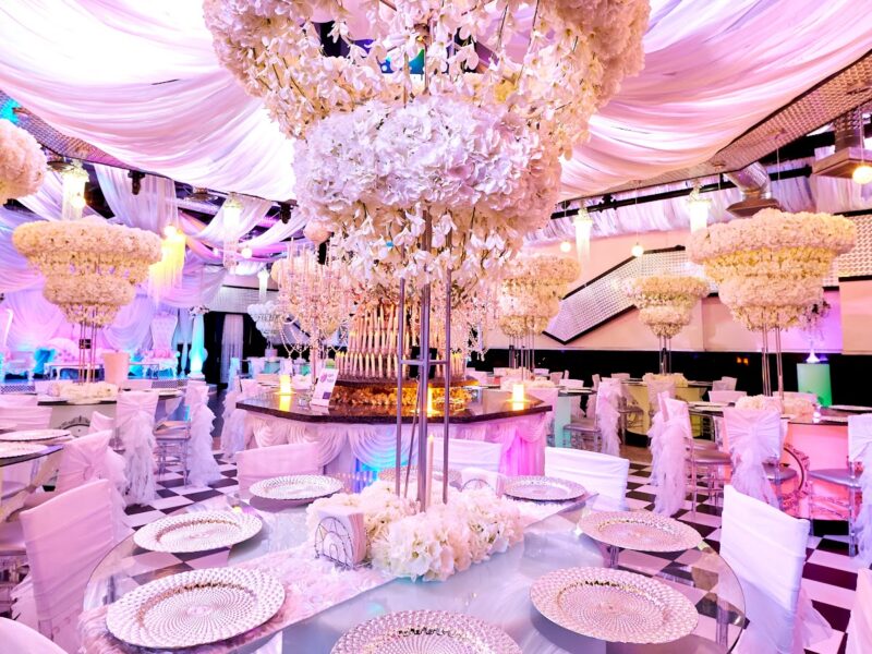 Special Price 50% OFF CHIC VENUE IN TAMPA BAY (USF CAMPUS Location)