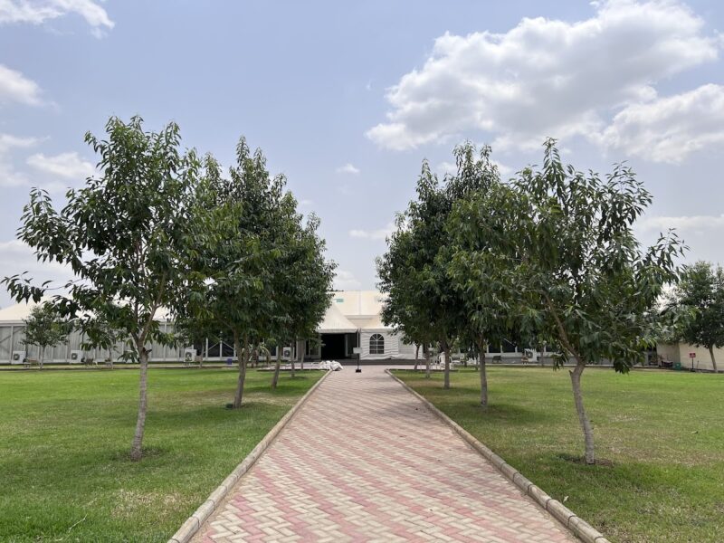 Rainbow Event Marquee