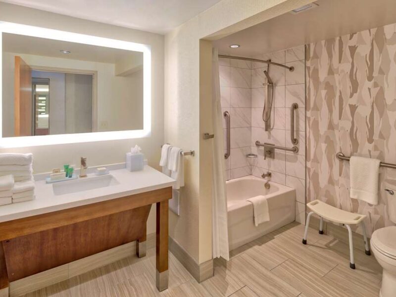 Hilton Norfolk The Main